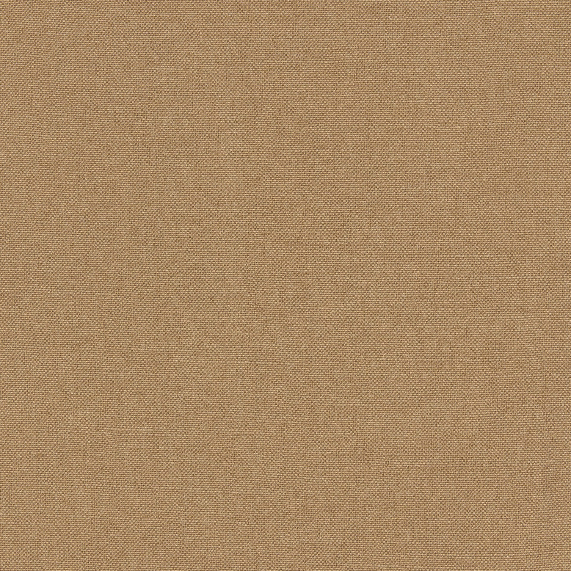 Nomad Prairie Wheat